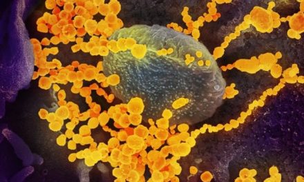 Există posibilitatea ca oamenii să nu dezvolte imunitate la noul coronavirus? Oamenii de știință sunt sceptici