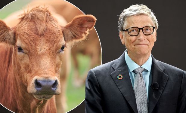 Bill Gates  și  ”desenul  din covor”