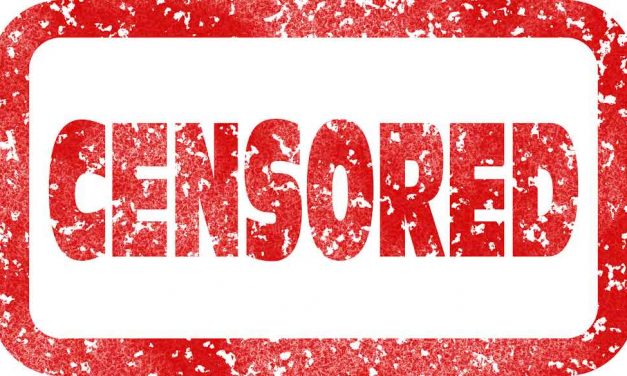 Actul legislativ privind serviciile digitale, reglementare sau cenzură?