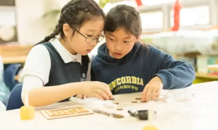 Ce ar avea de învățat Occidentul despre învățământul din China