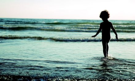 Momentul nostru cultural:  inteligența artificială generativă confirmă ideea de bun simț că mintea umană funcționează altfel decât o mașinărie