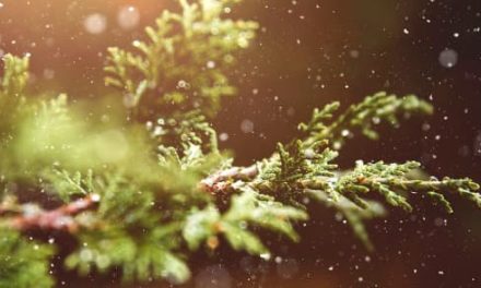 Mitul originilor păgâne ale Crăciunului