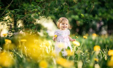 Să fim atenți – dar la ce anume?