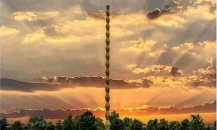 Invitație – Ziua Națională Constantin Brâncuși