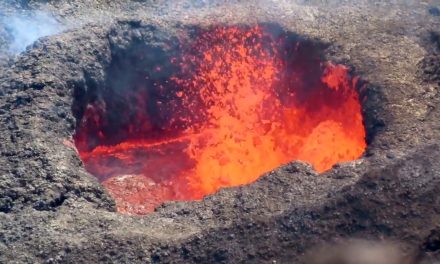 Marea efervescență din Occident