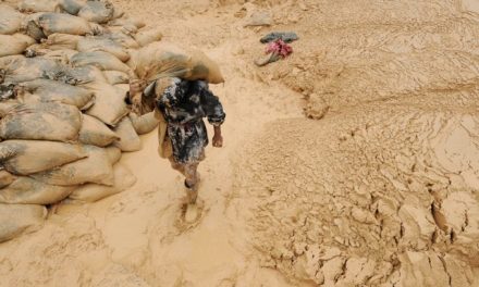 Războiul pământurilor rare