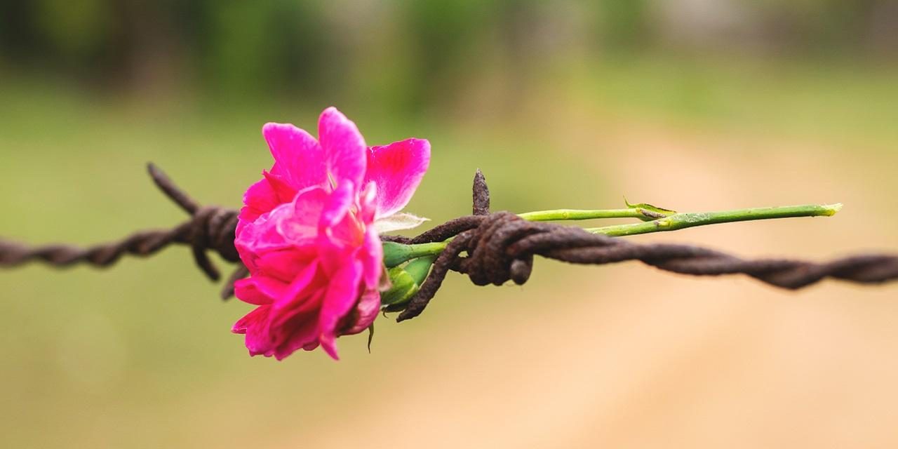 Cum a murit democrația occidentală. Adevărata schimbare este o iluzie