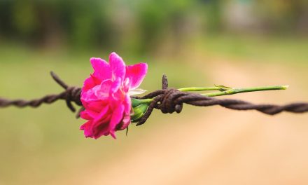 Cum a murit democrația occidentală. Adevărata schimbare este o iluzie