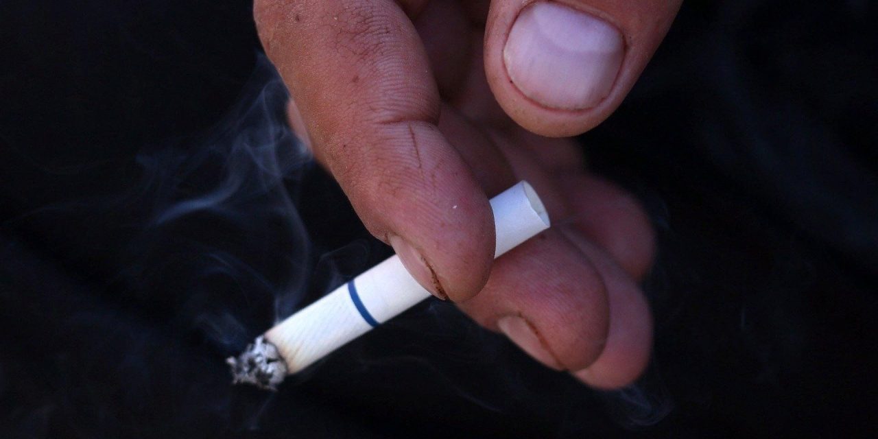 Despre fumat și alte vicii omenești, prea omenești