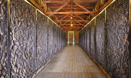 Despre normalizarea Răului. Nu este suficient să-ți ferești privirea