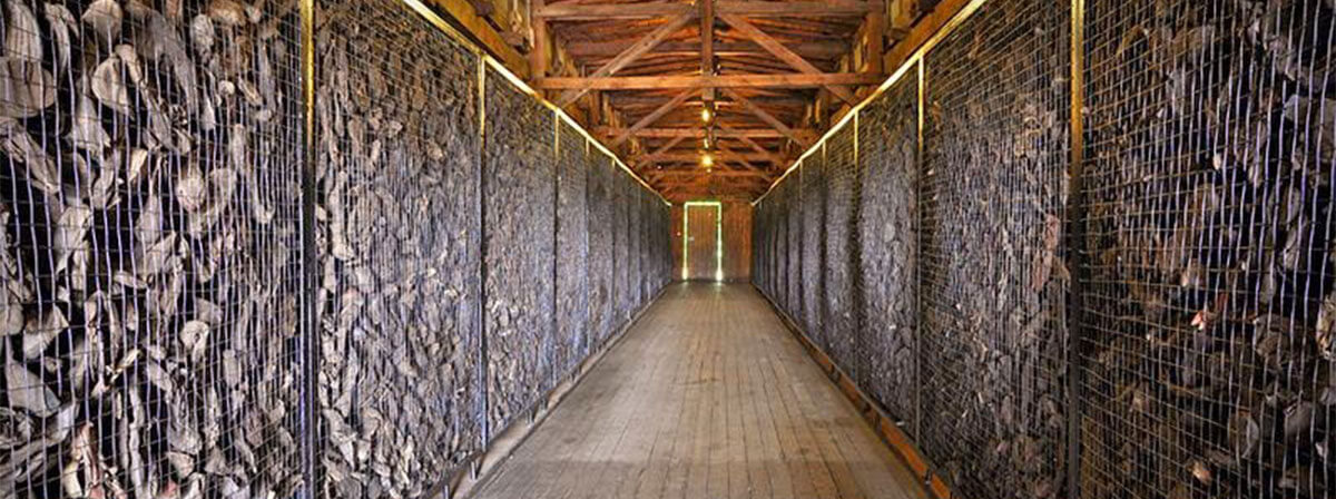 Despre normalizarea Răului. Nu este suficient să-ți ferești privirea