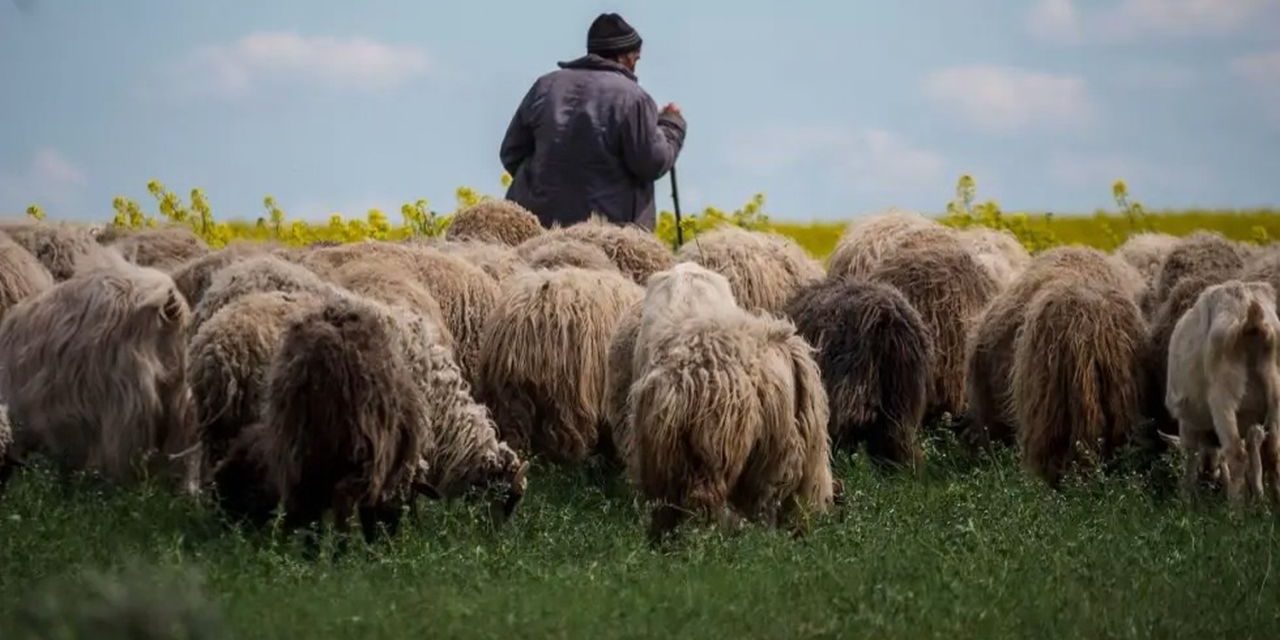 Nu putem fi egali, dar oportunitățile ar trebui să fie disponibile în mod egal tuturor