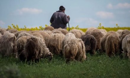 Nu putem fi egali, dar oportunitățile ar trebui să fie disponibile în mod egal tuturor