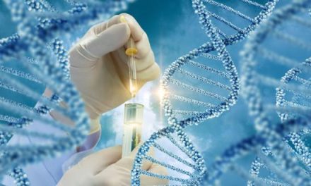 Bebelușii modificați genetic: preambul pentru un viitor întunecat