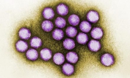 Virusul misterios al Crăciunului