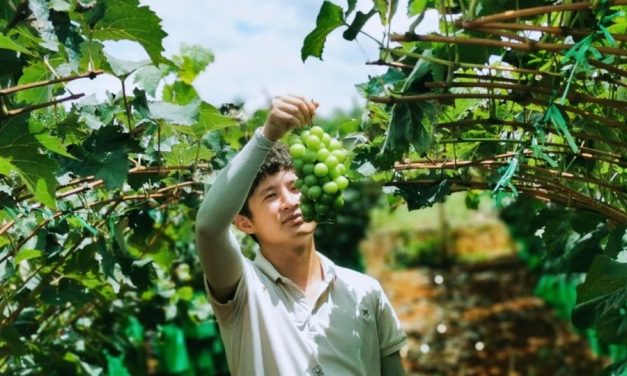 Tinerii fără aspirații înseamnă letargie sau furie în Europa