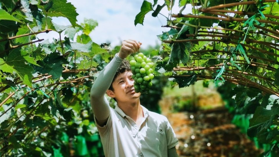 Tinerii fără aspirații înseamnă letargie sau furie în Europa