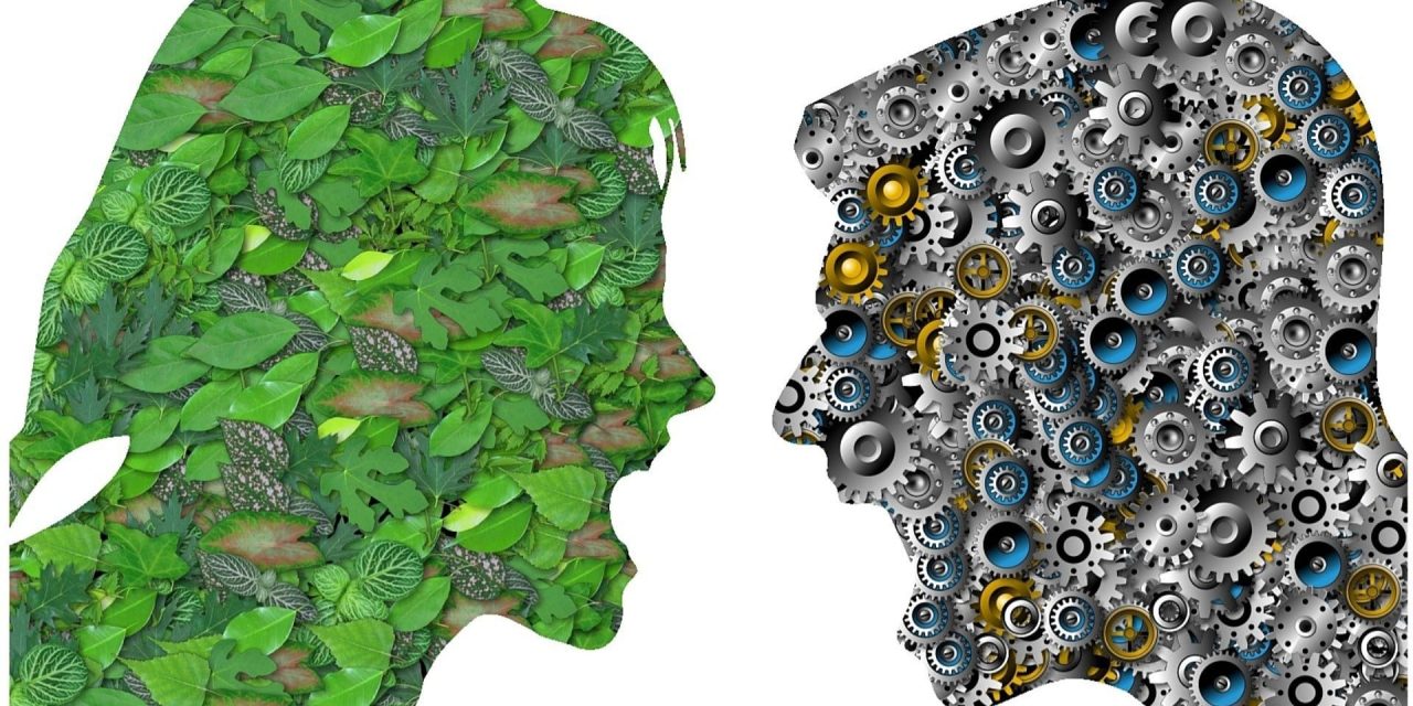 Nevizibila Amenințare: Impactul Poluării asupra Echilibrului Psihic și Strategii de Protecție – II