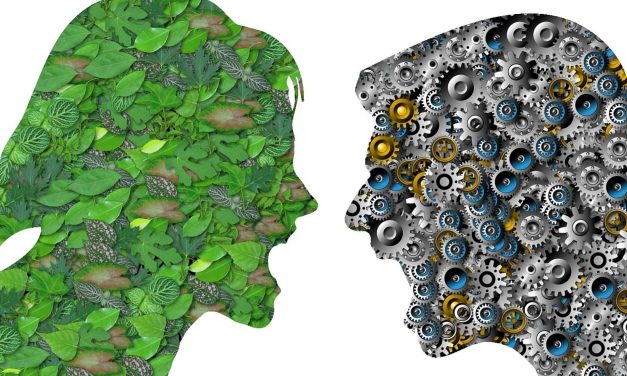 Nevizibila Amenințare: Impactul Poluării asupra Echilibrului Psihic și Strategii de Protecție – II