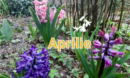 🏛️ Jurnalul Bizar: Primul jurământ, buncărul umbrelor și pânza de păianjen digitală (Ediția de 30 Aprilie)