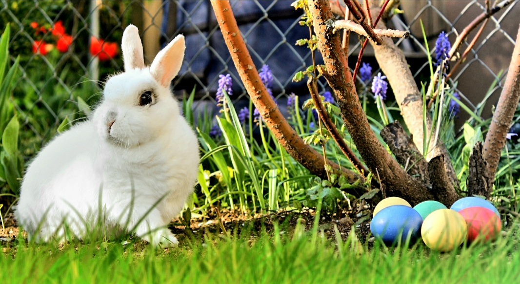 Paștele- tradiții și simboluri