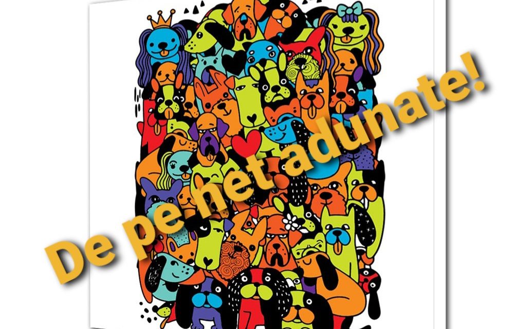 De Pe Net Luate 2.0
