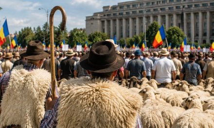 Supărarea fără margini a… oierilor!