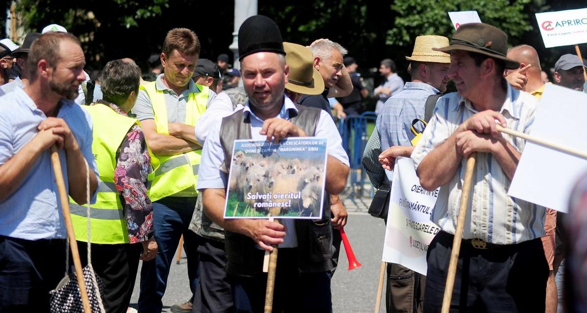 Fermieri, oieri, agricultori… toată lumea e nemulţumită!