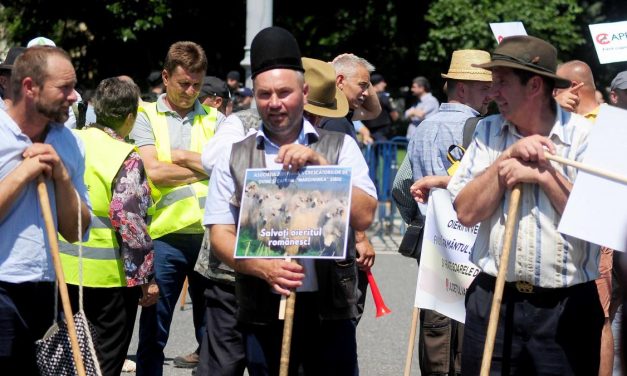 Fermieri, oieri, agricultori… toată lumea e nemulţumită!