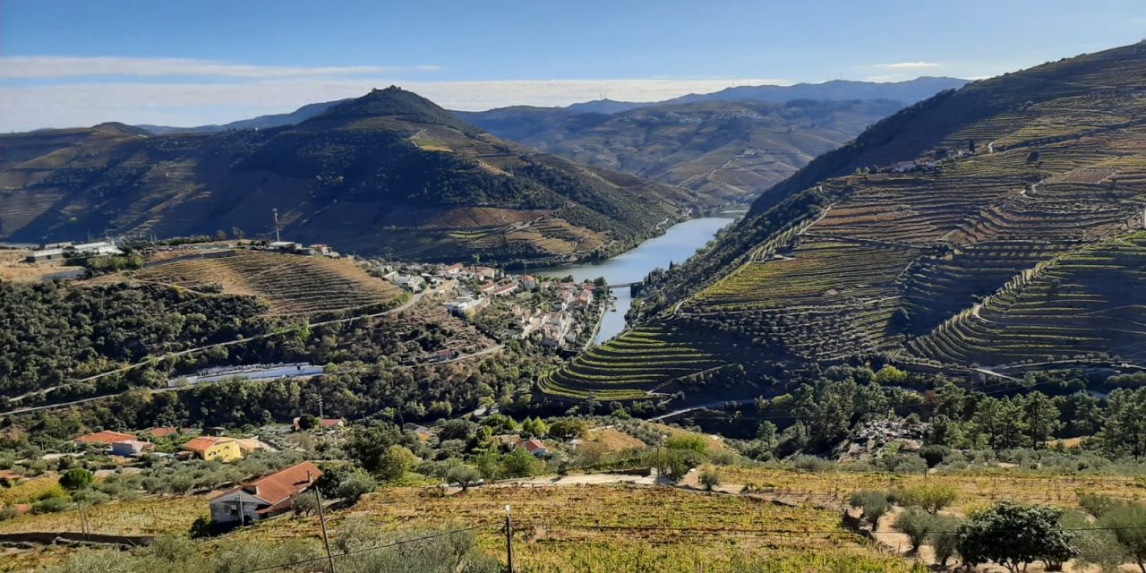 Valea Douro: Pământul de Șist, Alchimia Vinului de Porto și Sacrificiul din Spatele Perfecțiunii