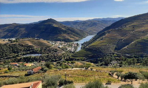 Valea Douro: Pământul de Șist, Alchimia Vinului de Porto și Sacrificiul din Spatele Perfecțiunii
